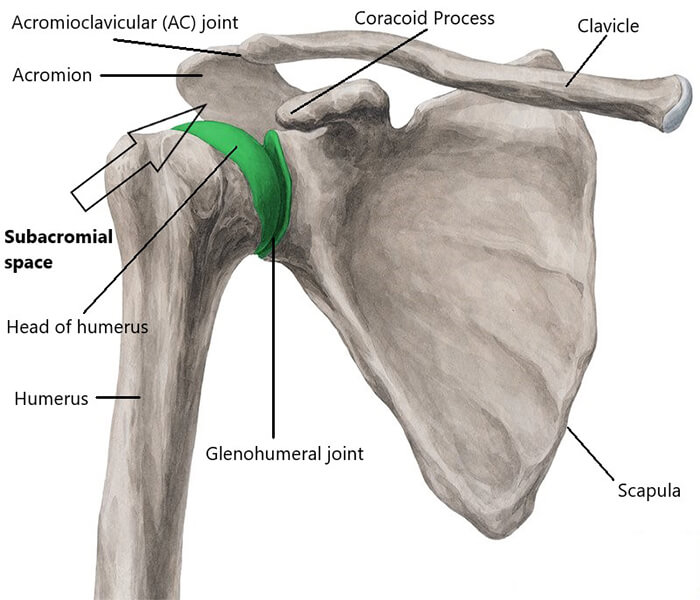 mitch-lenkic-shoulder-impingement-03